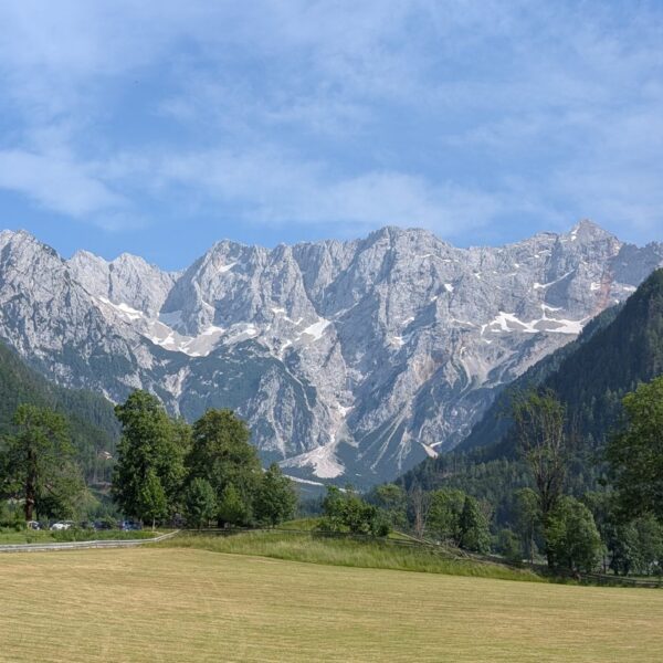 Blick auf Sloweniens grüne Landschaft, Berge und Wälder bei Sonnenlicht
