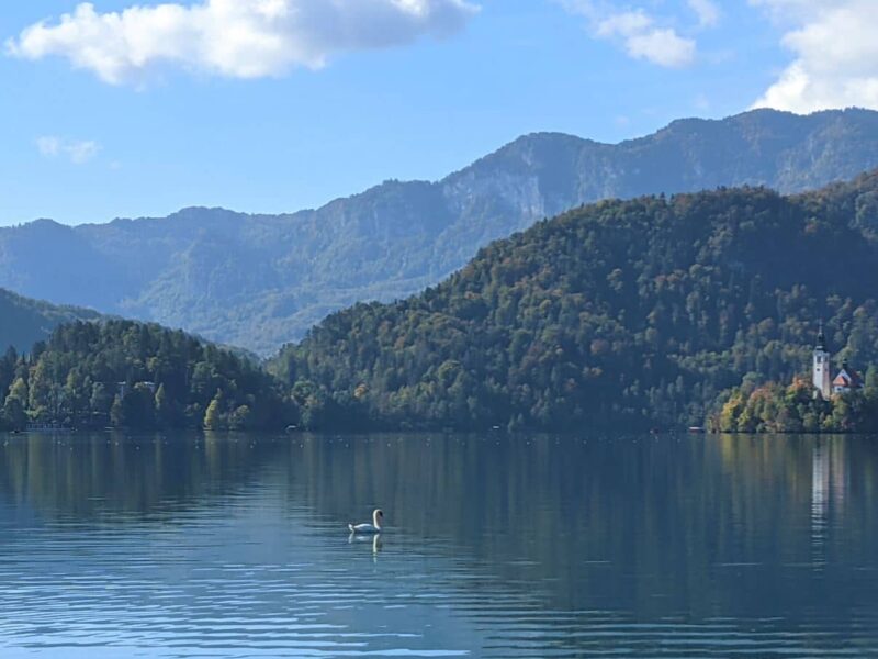 Der Bleder See in Slowenien