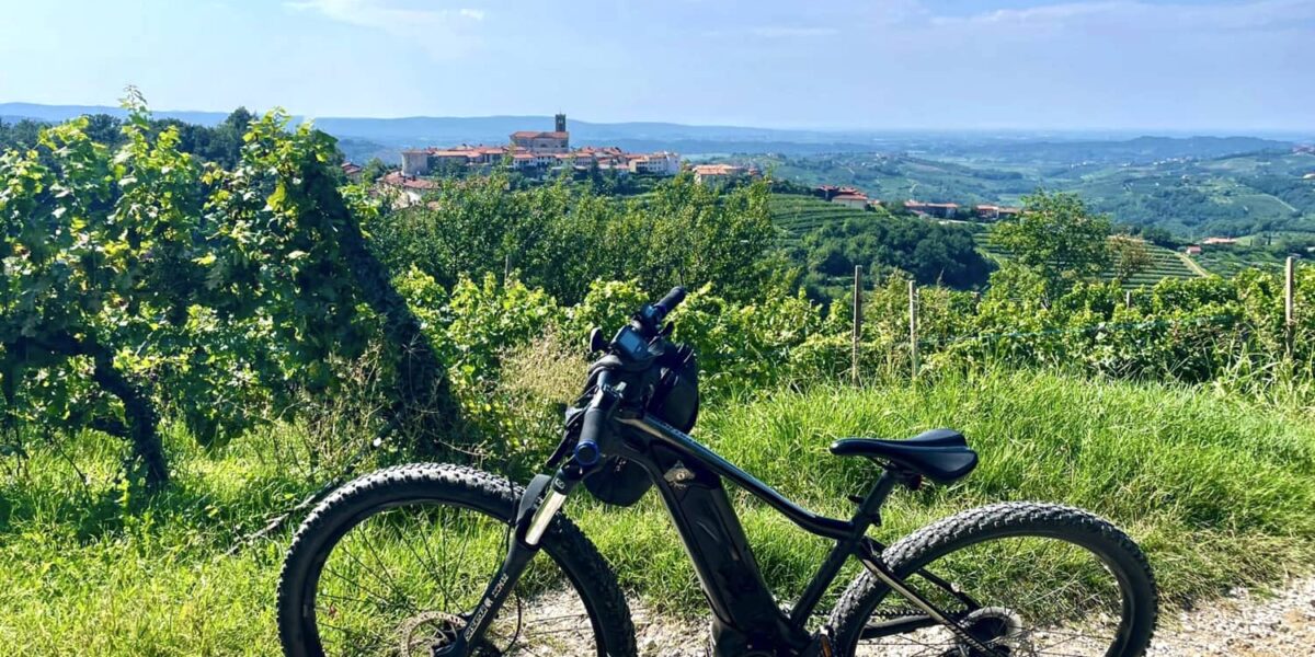 Mit dem E-Bike durch die Weinregion Brda