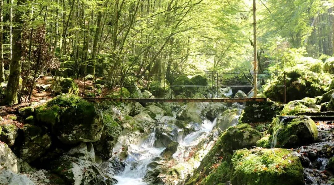Wanderweg bei Boveč mit Fluss, Wald und Wasserfall
