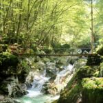 Wanderweg bei Boveč mit Fluss, Wald und Wasserfall