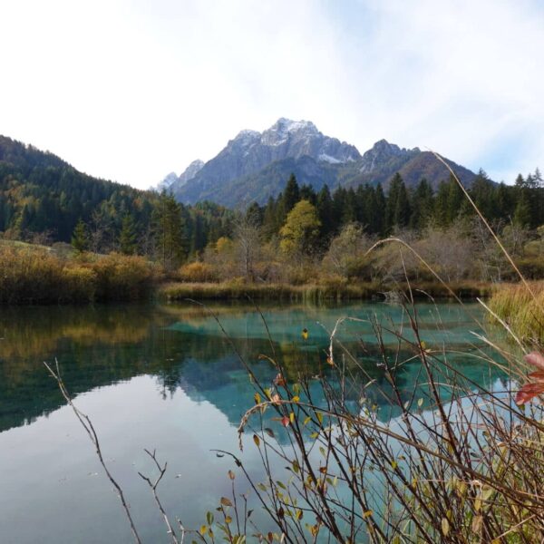 Zelenci-See