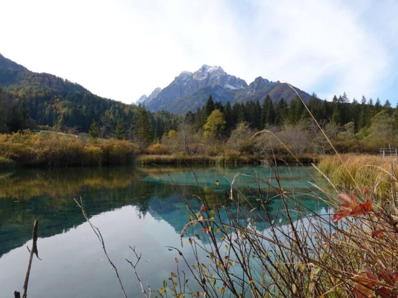 Zelenci-See