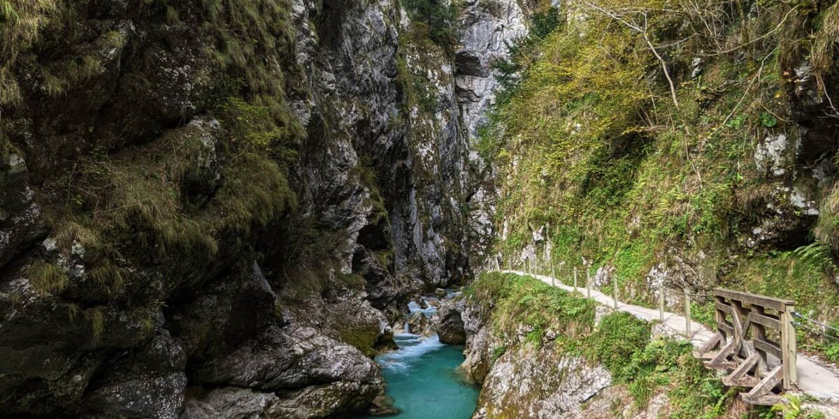 Blick in die Tolmin-Schlucht