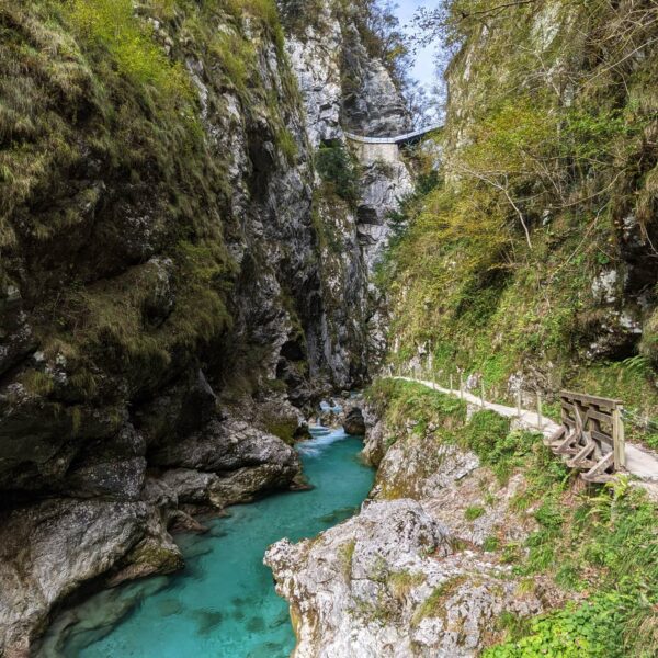 Blick in die Tolmin-Schlucht