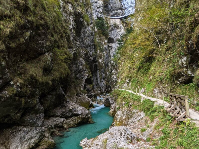 Blick in die Tolmin-Schlucht