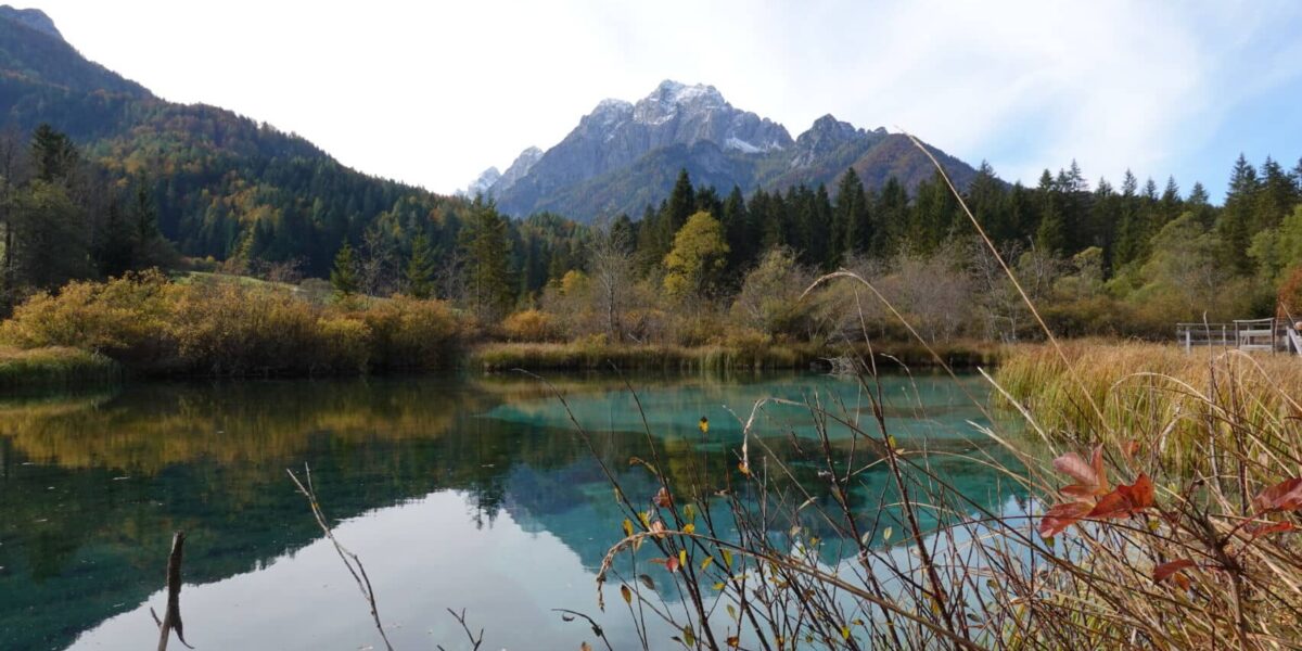 Zelenci-See im Naturreservat mit klarem Wasser und Bergen im Hintergrund