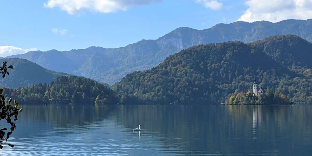 Der Bleder See aus der Vogelperspektive mit Insel in der Mitte.