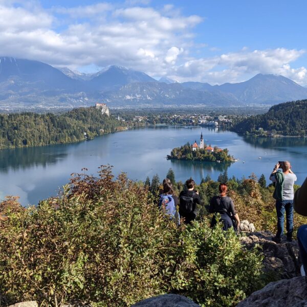 Aussicht auf den Bleder See vom Aussichtspunkt
