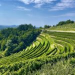 weinurlaub in slowenien