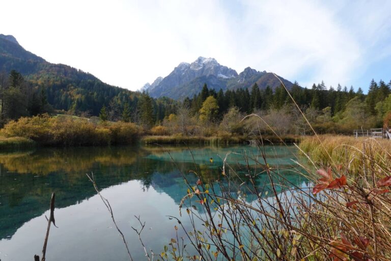 zelenci see