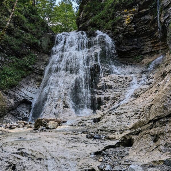 Der Stegovniški wasserfall in Slowenien mit grünem Wald und Felsen